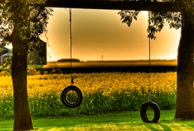 DSC_0550_2_4