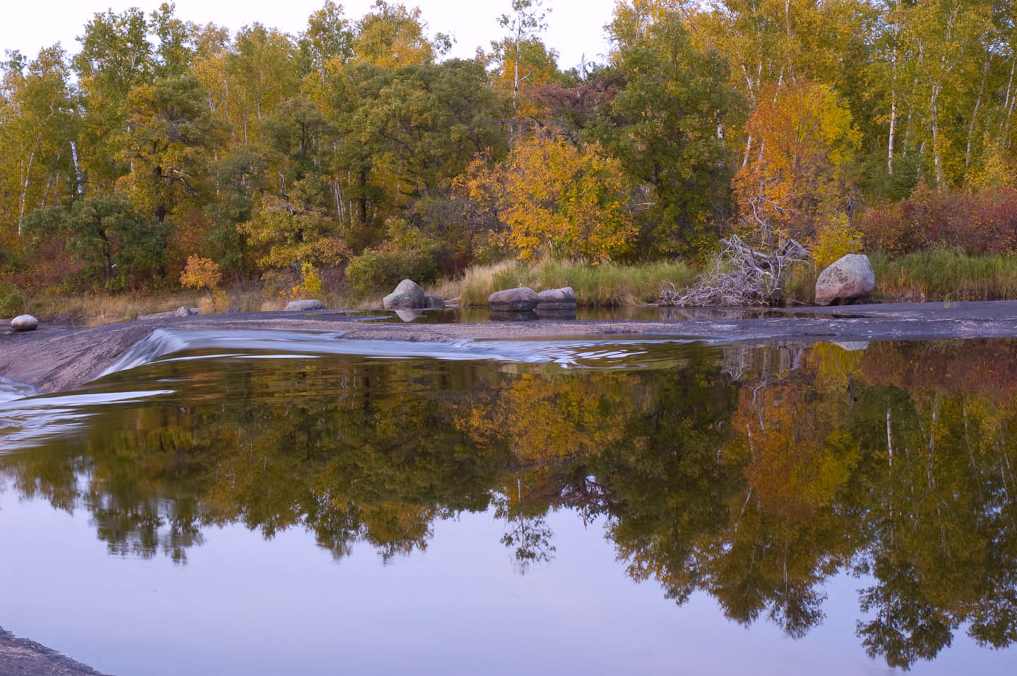 DSC_0046-2.jpg