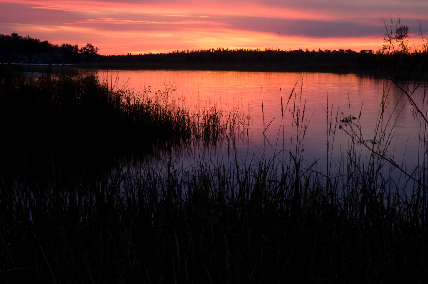 DSC_0086.jpg
