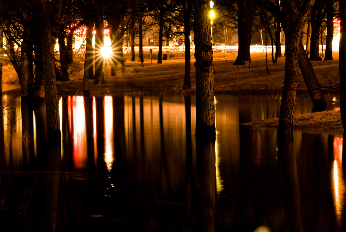 DSC_4623.jpg