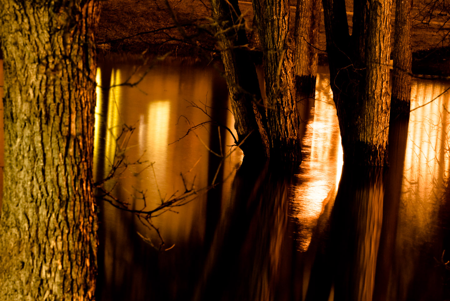 DSC_4624.jpg