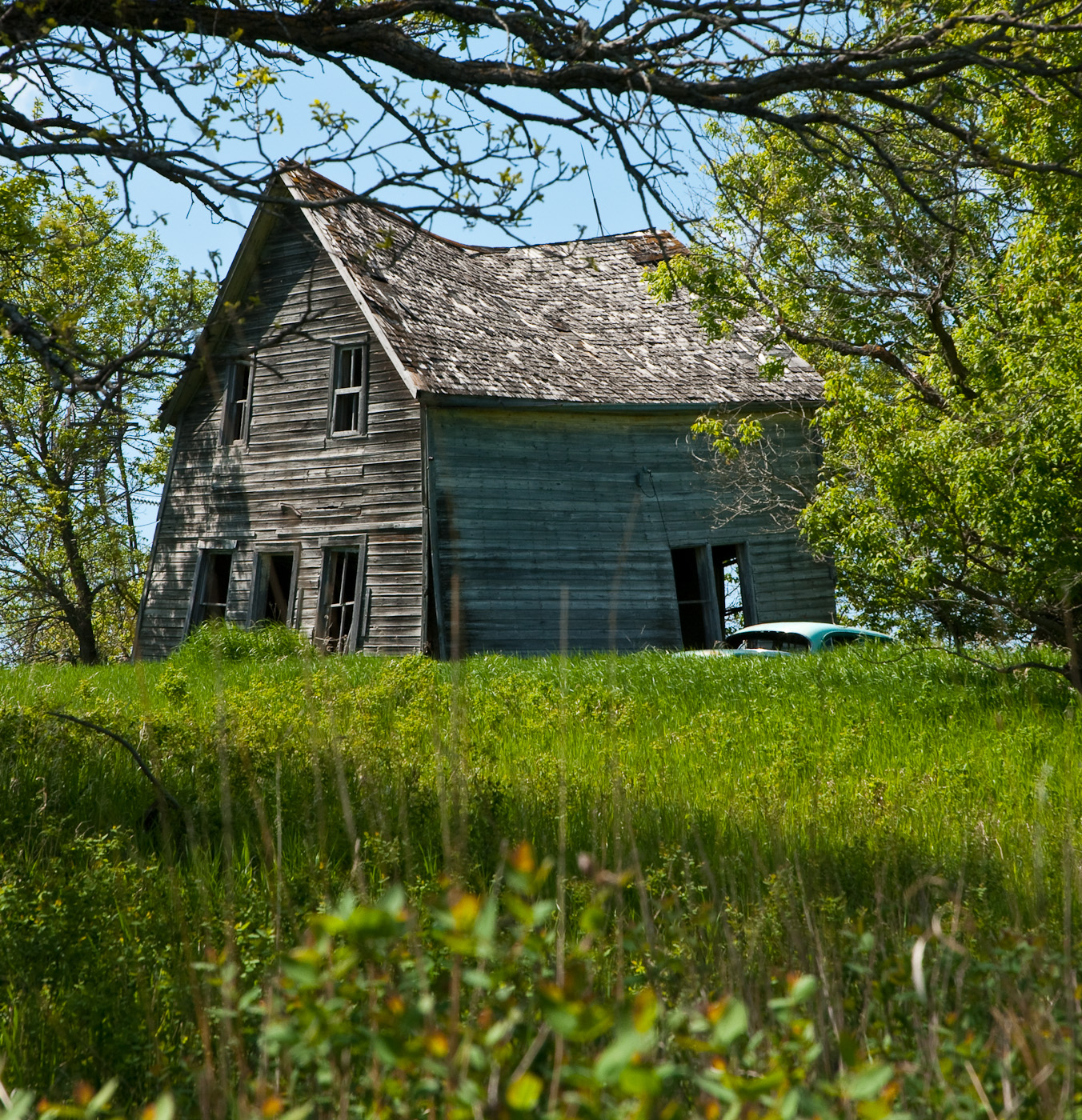 DSC_8046.jpg