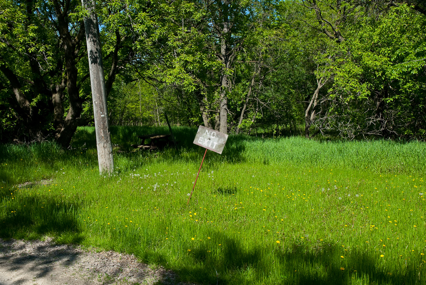 DSC_8111.jpg