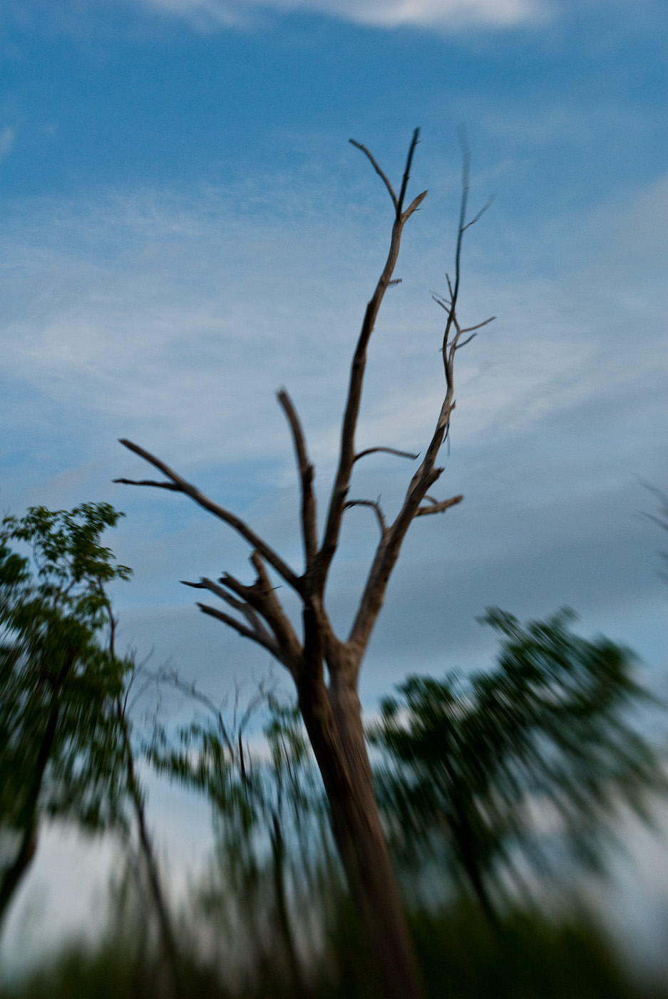 DSC_8198.jpg