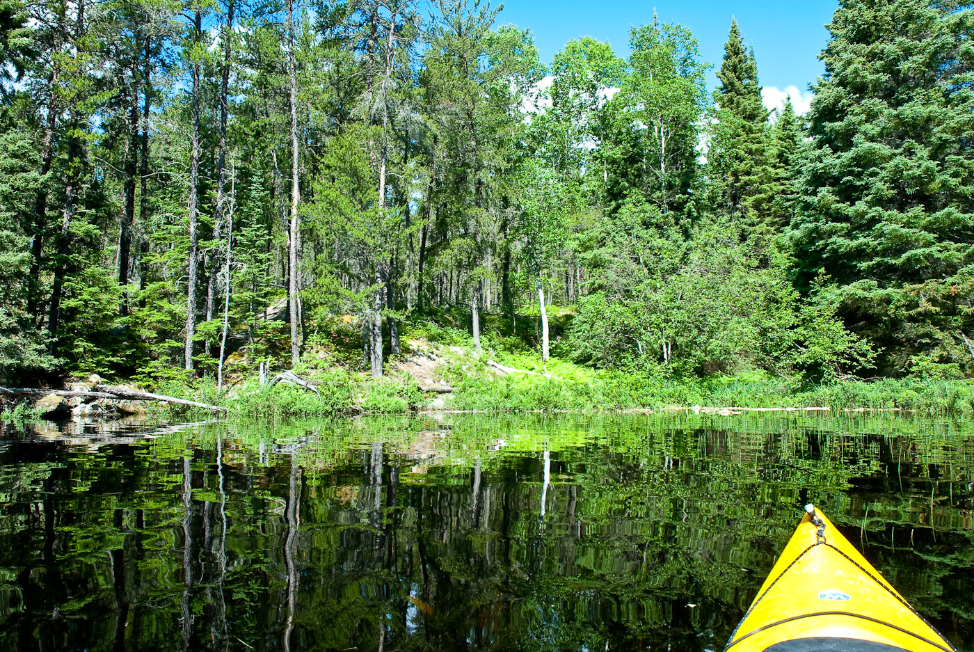 DSC_8671.jpg