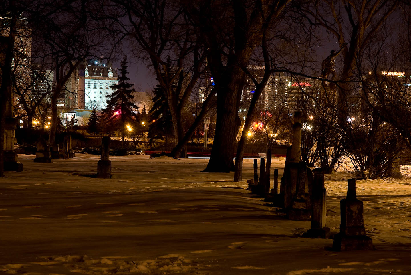 DSC_8935.jpg