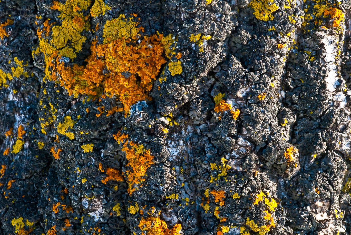 DSC_2693.jpg
