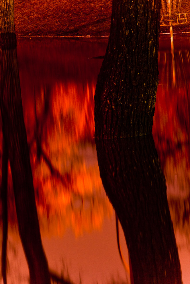 DSC_4615.jpg